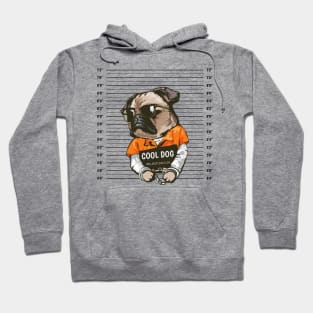 Cool Dog Mugshot Hoodie